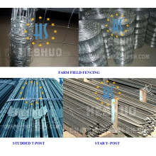 Cerca galvanizada a quente de alta elasticidade dos cervos para Austrila &amp; EUA